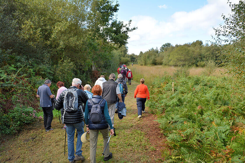 Fun Things You Should Do In Spring