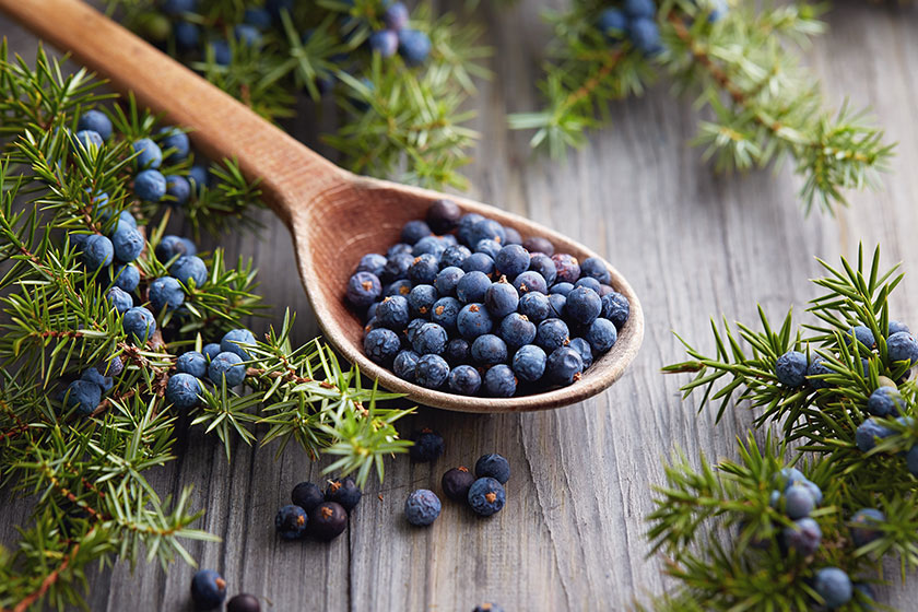 Top 4 Berries For Improving Your Health Top 4 Berries For Improving Your Health