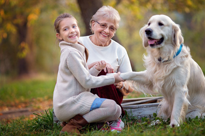 Top Benefits Of Having Pets For Seniors | The Summit by Discovery ...