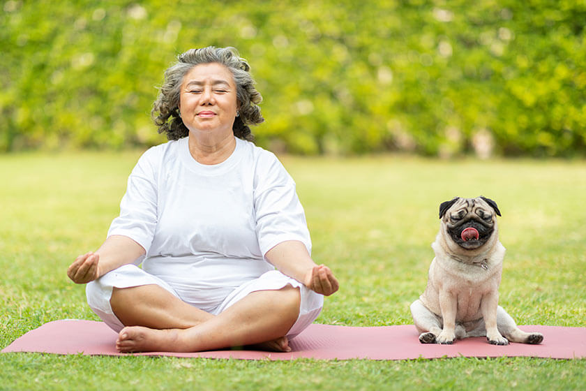 Understanding The Power Of Meditation To Protect The Aging Brain Understanding The Power Of Meditation To Protect The Aging Brain