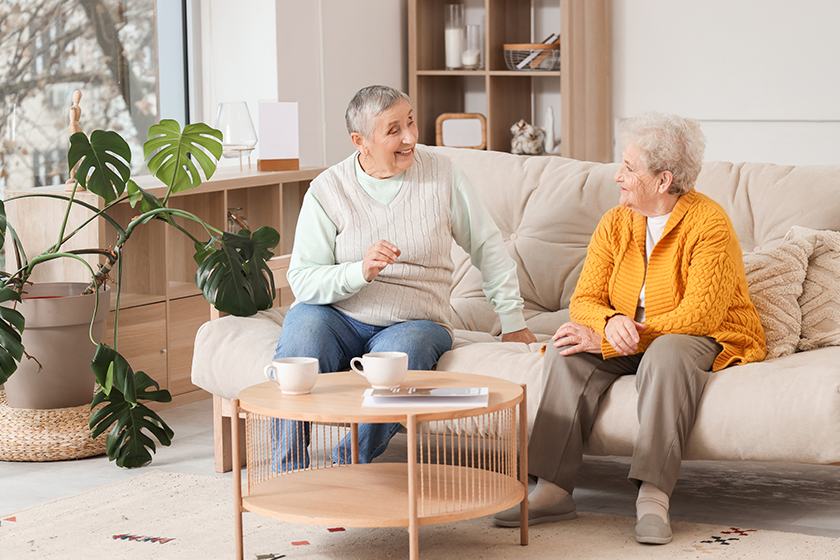 Senior female friends chatting on sofa